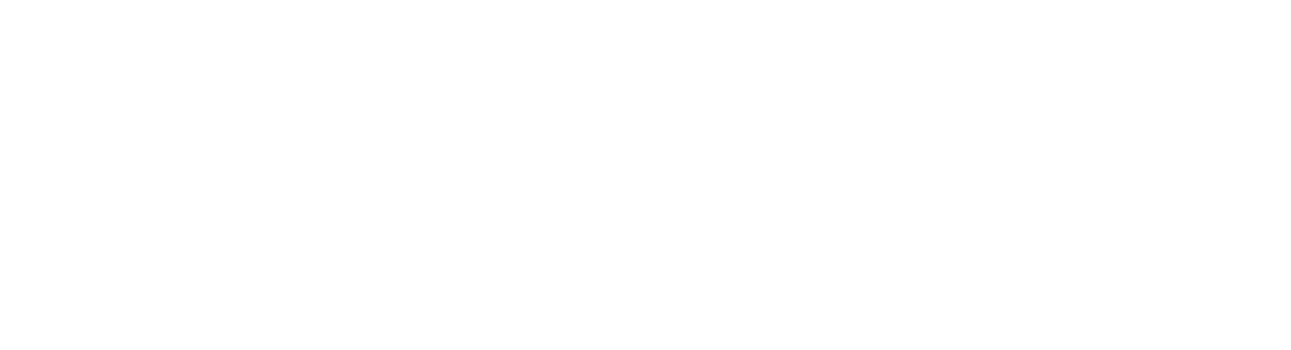 Logo Partner Bianco